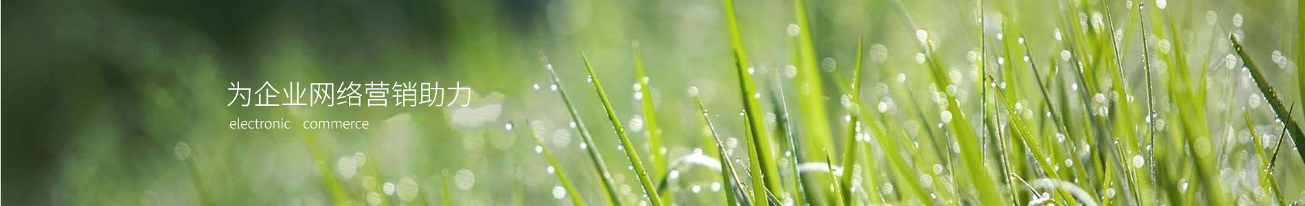 ½ŷʲ޹˾